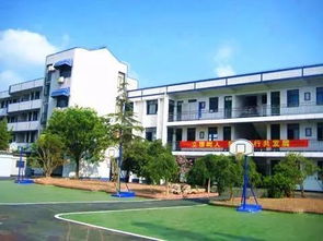 厉害了我大魔都 上海100多所学校同时被国家点名表扬啦