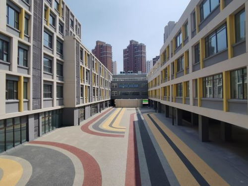 20项民心工程 新校 建设最新进展 11个项目完成 新增义务教育学位1.8万个