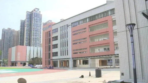 新增一批 2021各区新开校小学还有这些